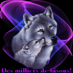 POUR VOUS DE GROS BISOUS AMITIE